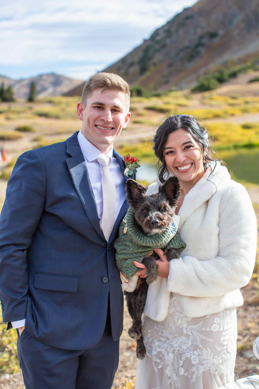 dog-at-wedding
