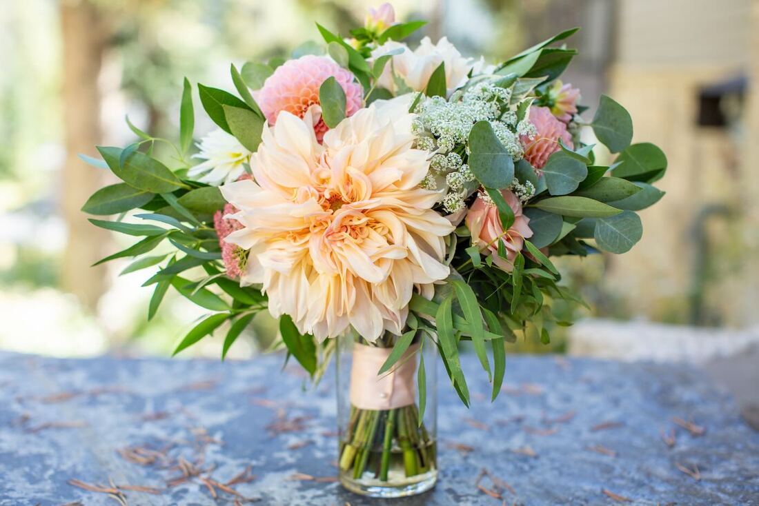 colorado-micro-wedding-package