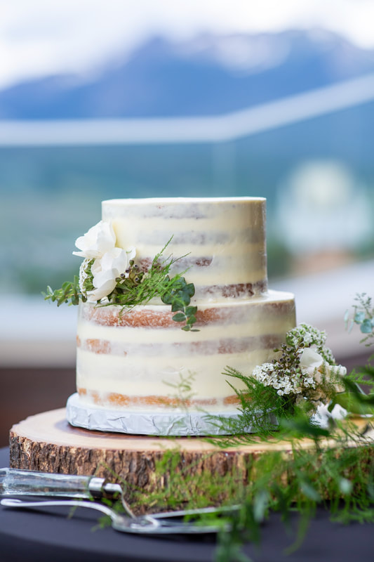 colorado-micro-wedding-cake