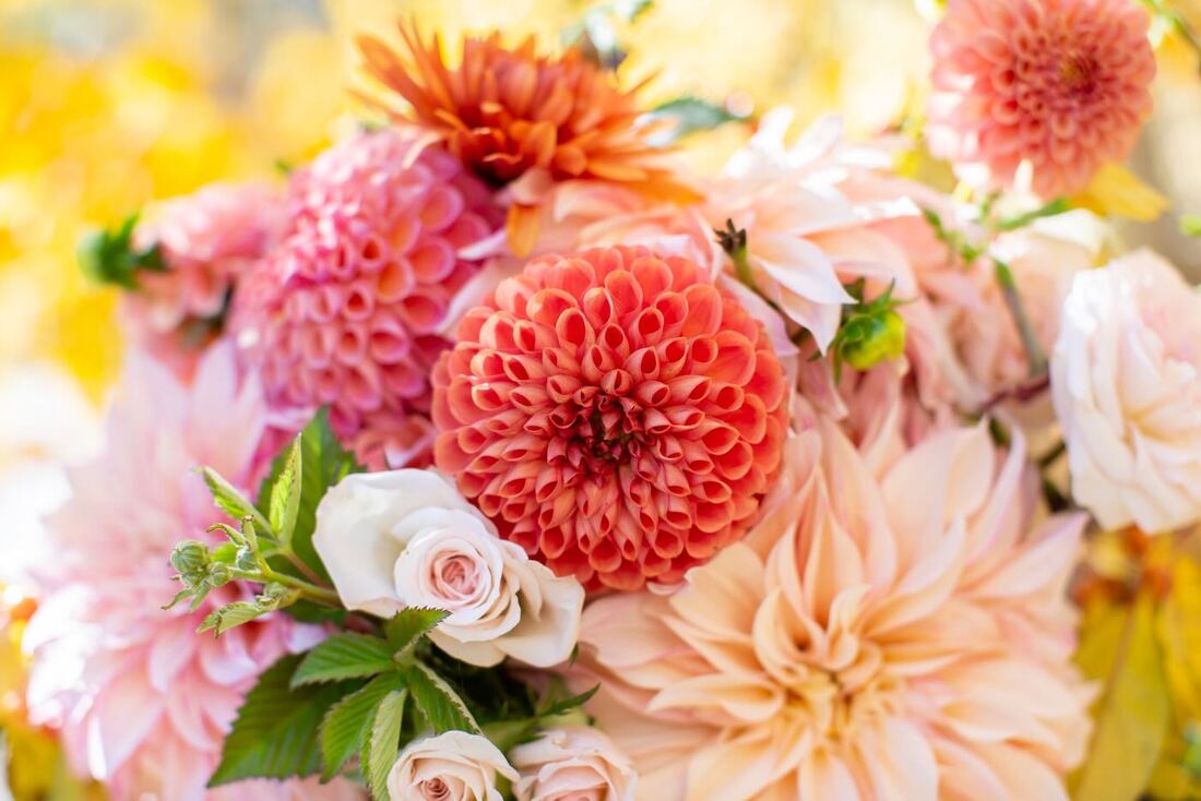 colorado-wedding-packages