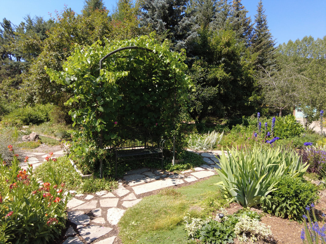 steamboat-micro-wedding-venue