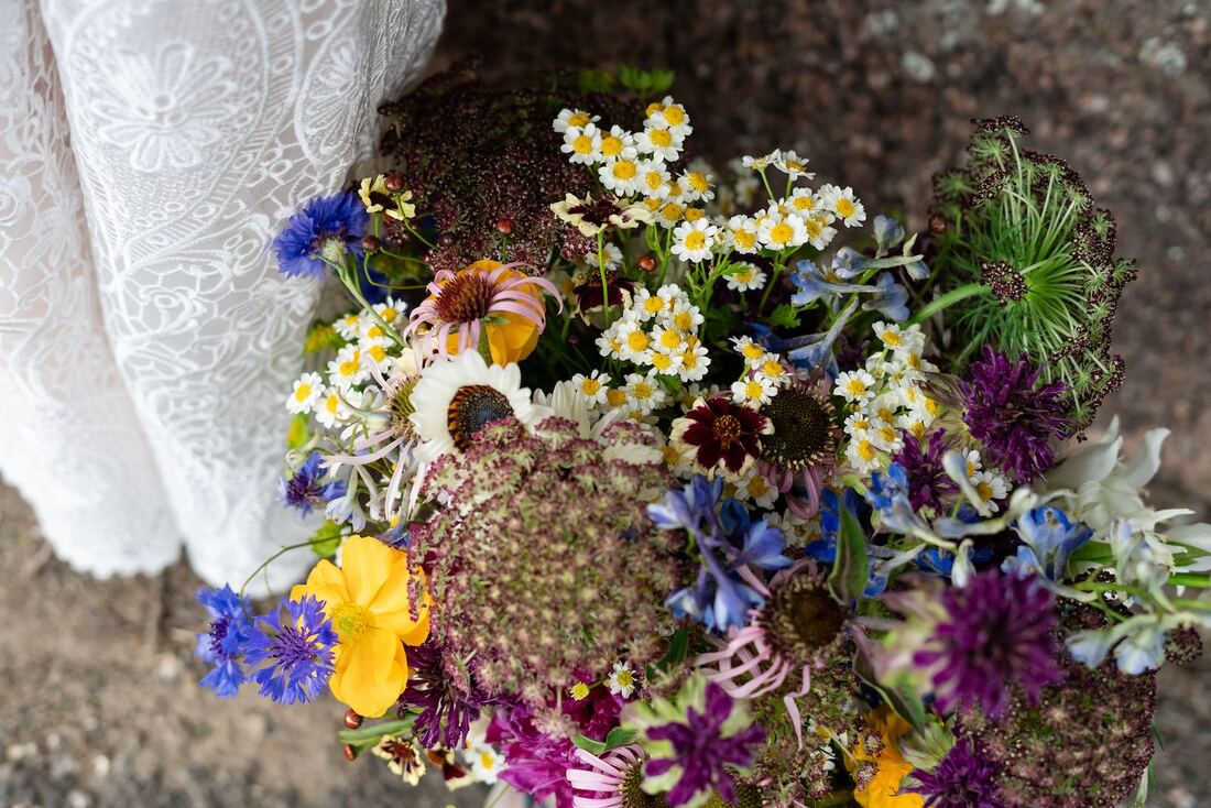 colorado-elopement-packages