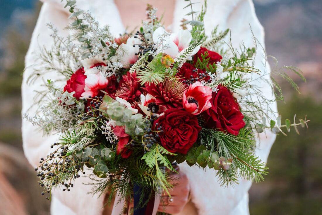 colorado small wedding