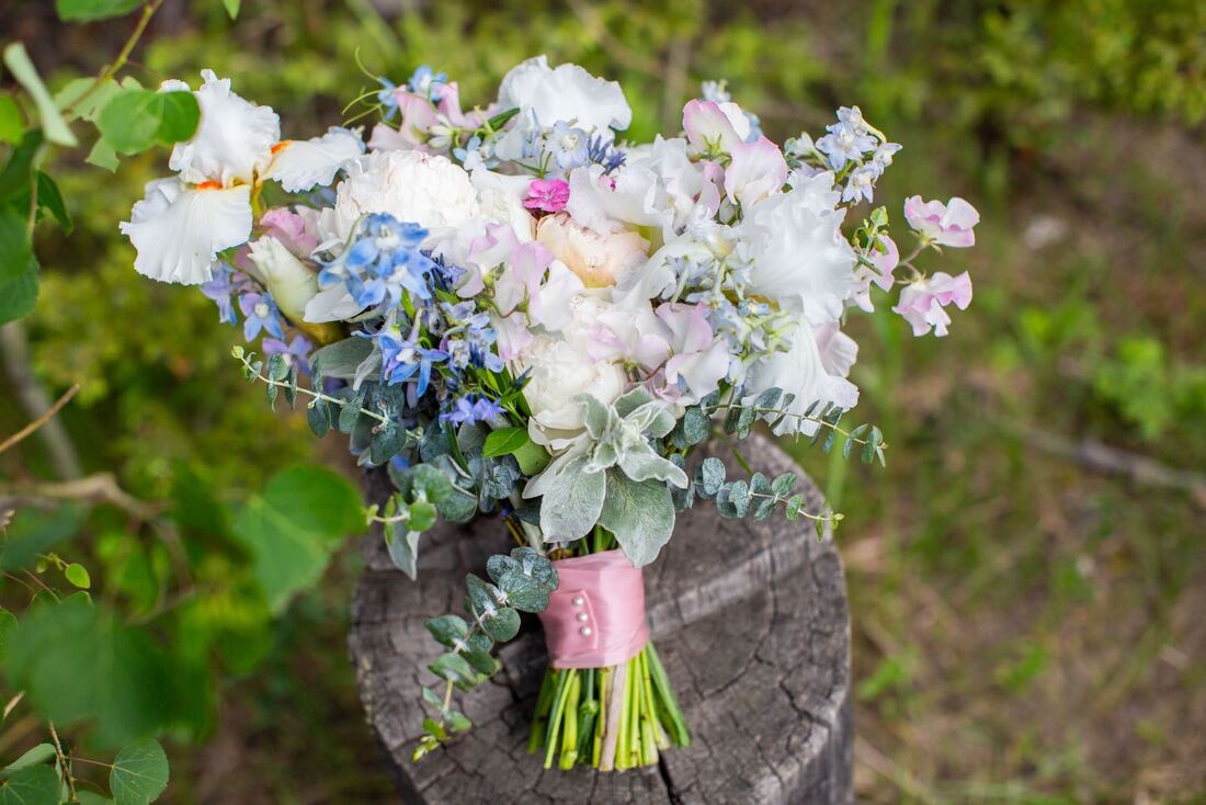 colorado-elopement-packages