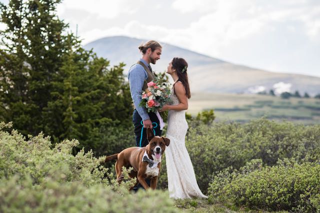 Colorado  micro weddings