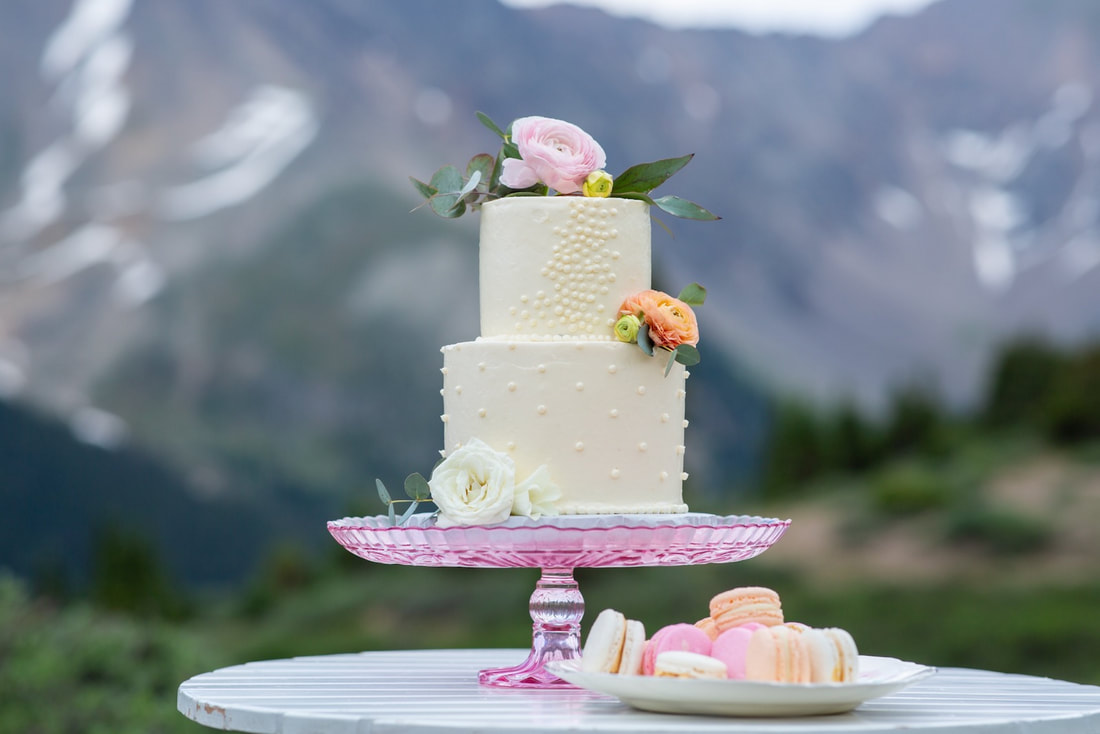 Colorado-elopement-cake