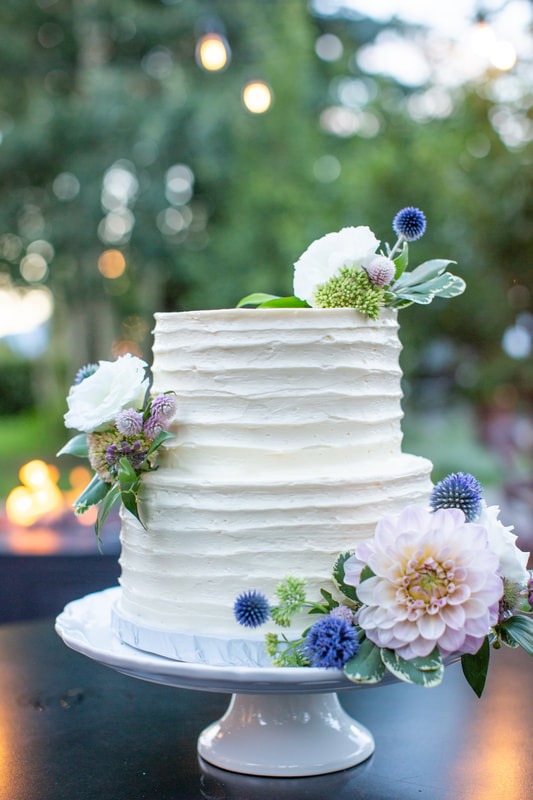 colorado-micro-wedding