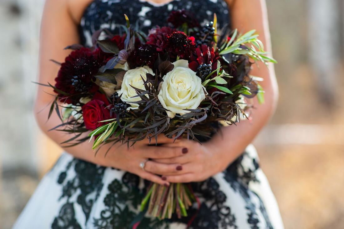 Colorado elopement package