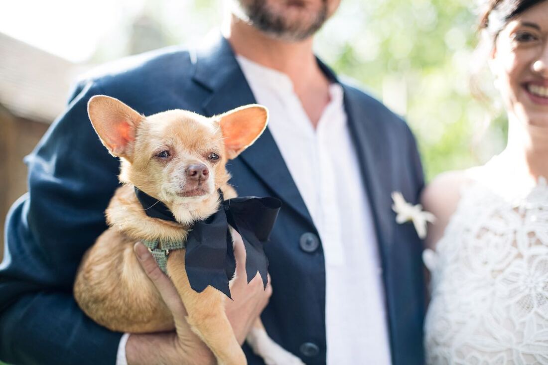 Microwedding Colorado