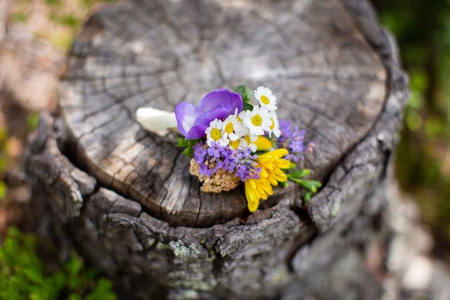 Colorado destination wedding