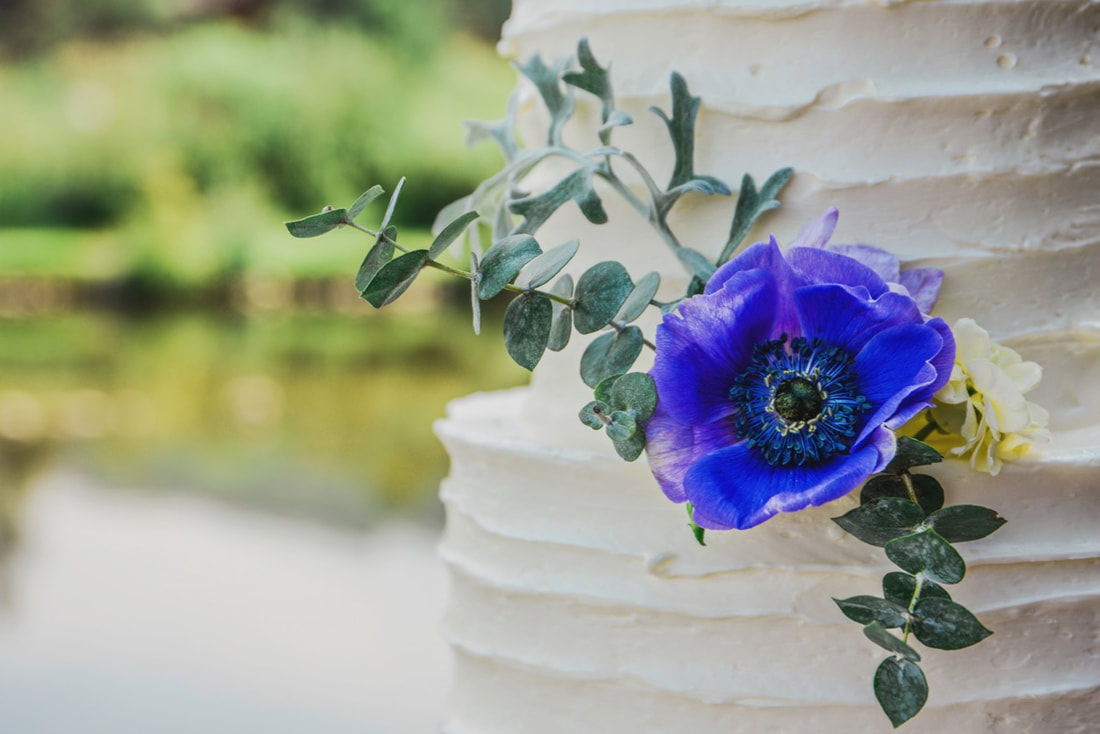 Colorado destination wedding cake