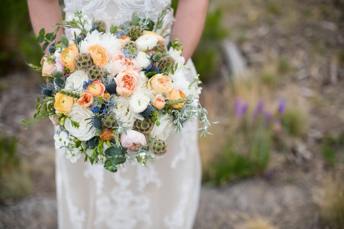 colorado wedding packages