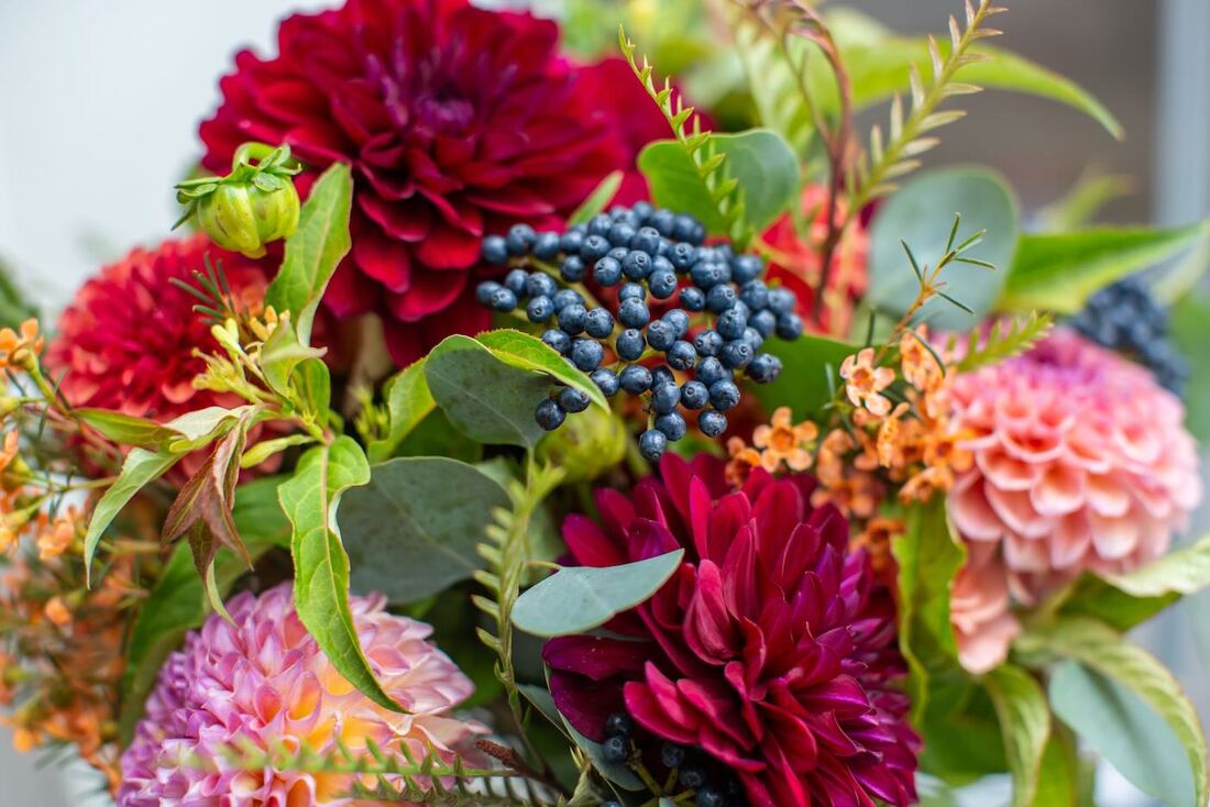 micro-wedding-packages