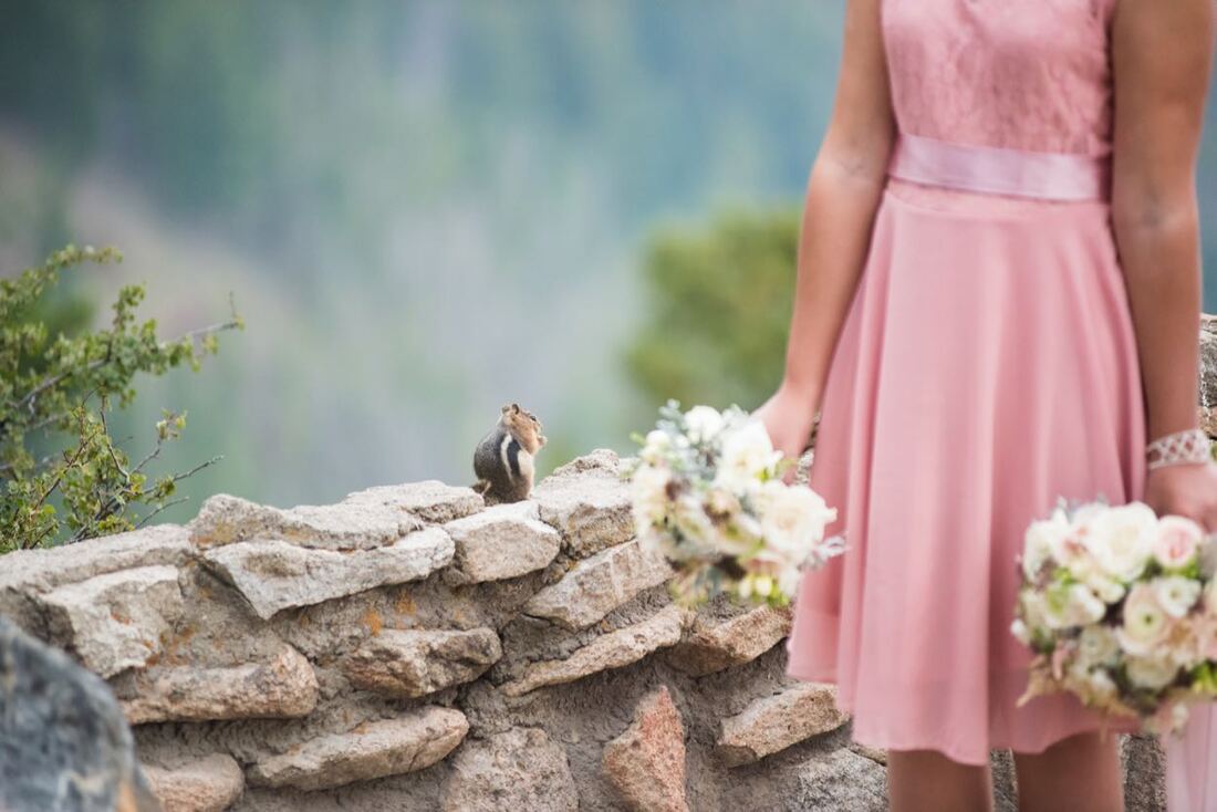 wedding venues Colorado