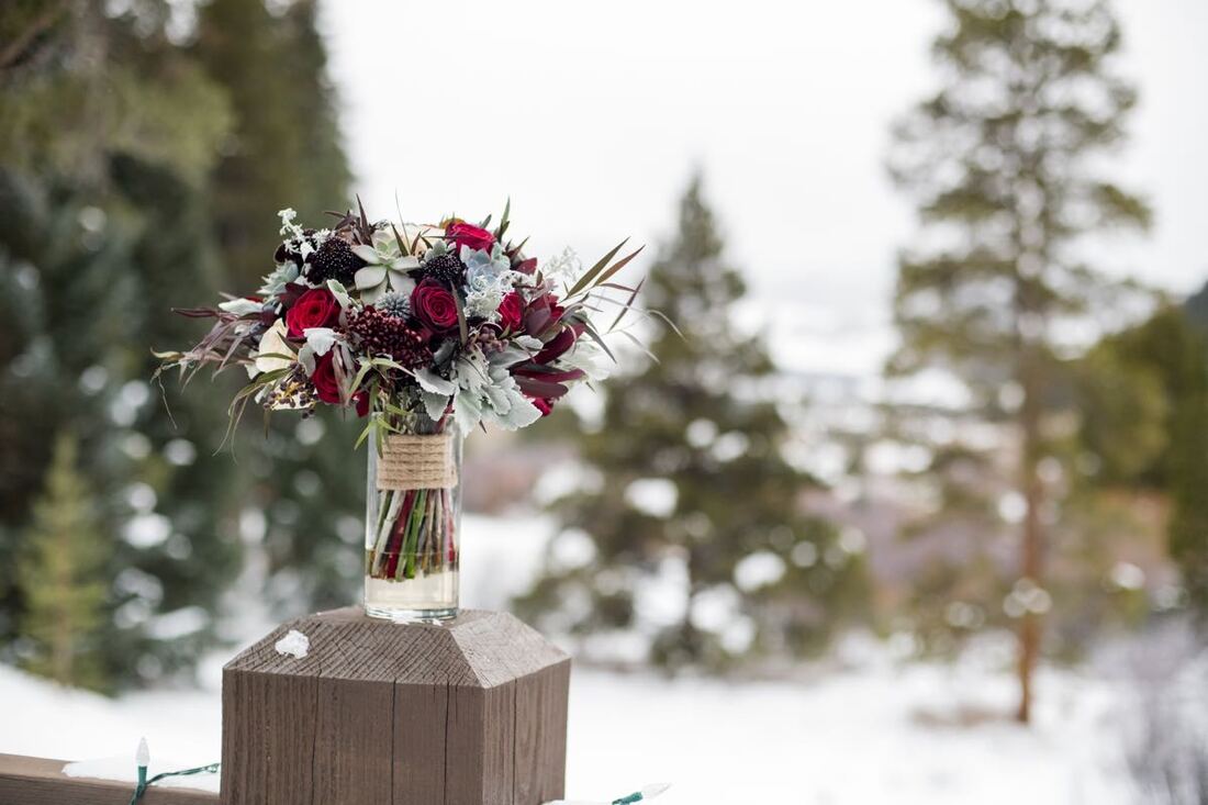 Colorado microweddings