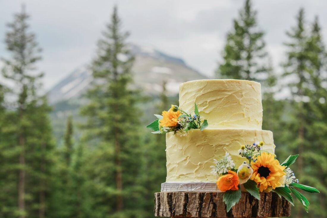 yellow sunflower cake
