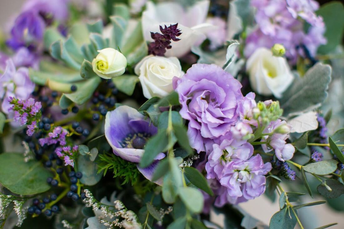 Colorado elopement package